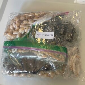 Mystery Jewelry Bag Shell and Bead Assortment #34